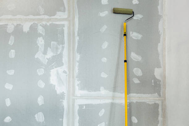 Best Emergency Mold Remediation  in Fife, WA