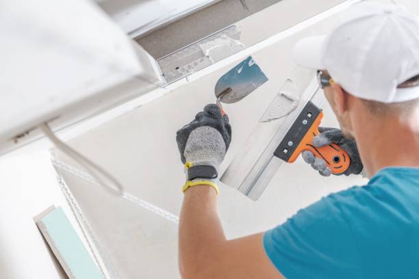 Best Mold-Related Health Consultation  in Fife, WA
